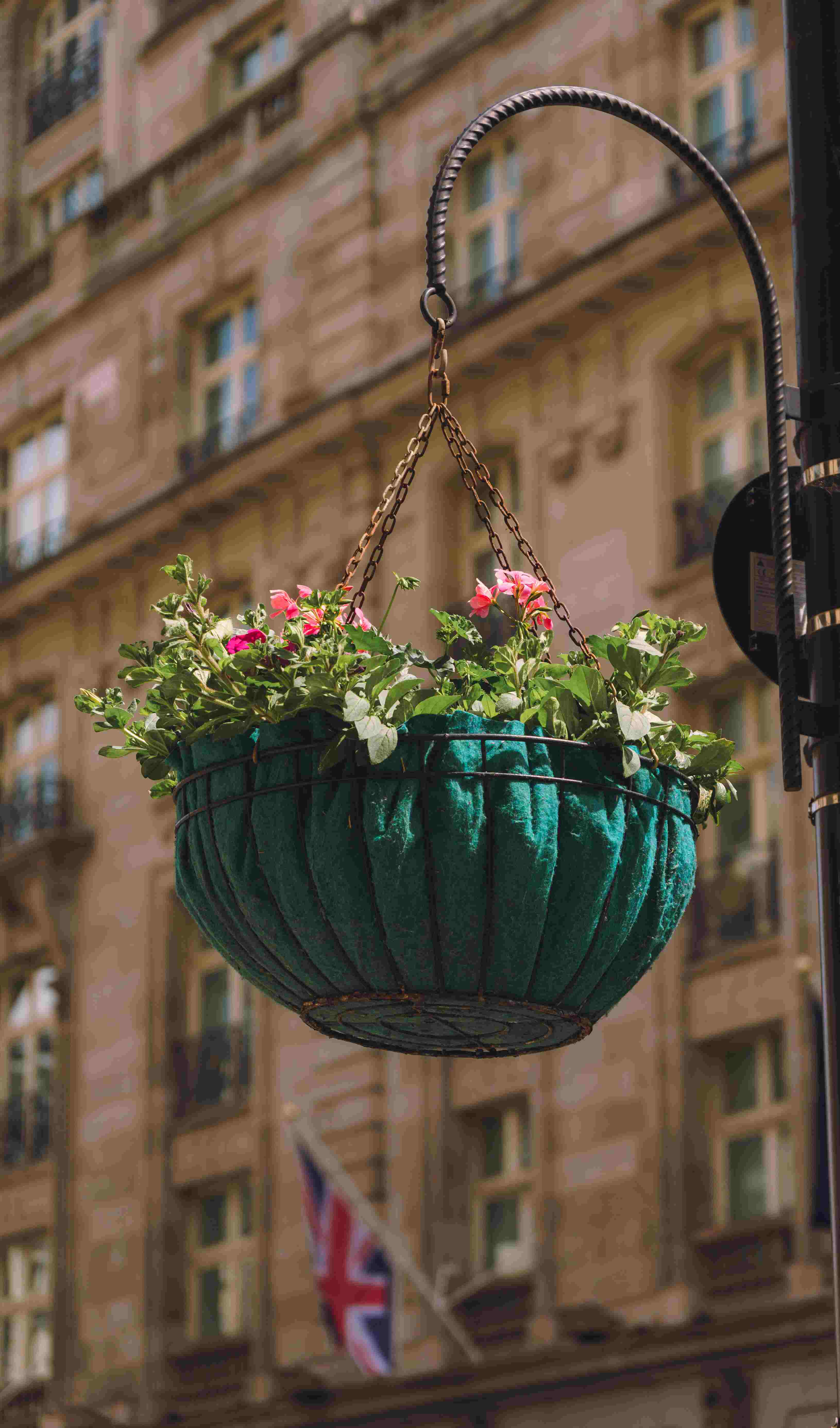 Hanging Flower Pot